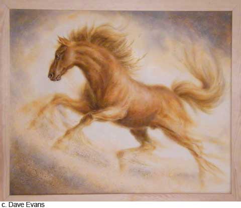 dave-evans-1-480 dave-evans-1-480