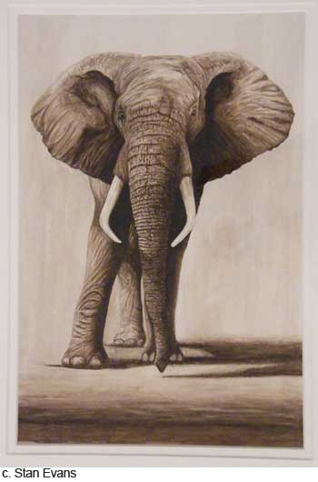 stan-evans-1-480 stan-evans-1-480