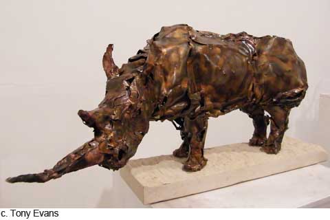 tone-evans-1-480 tone-evans-1-480