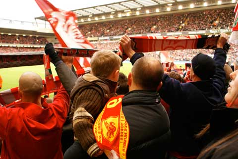 steph-power-2 steph-power-2